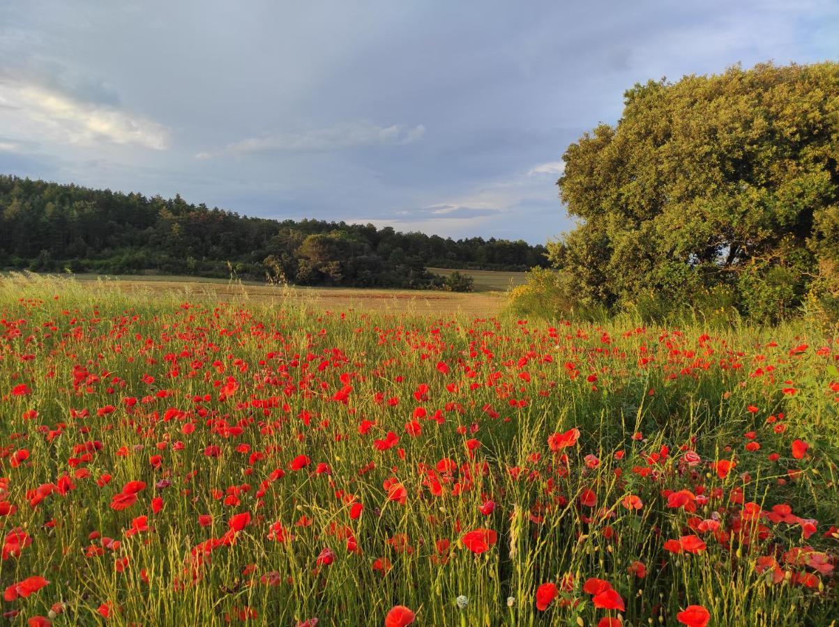 Gite A La Campagne, Proche Carcassonne Alairac Kültér fotó
